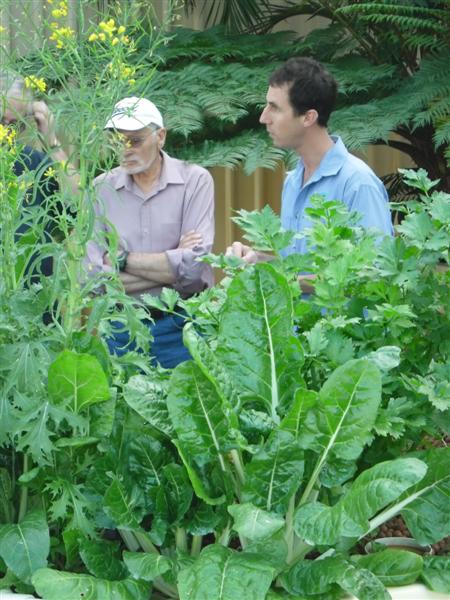 SAM_0860 (Medium).JPG