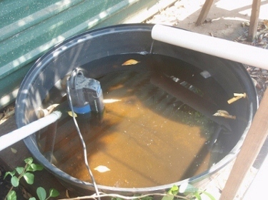 P9250201 (640x480) (480x360) (400x300) (375x281).jpg