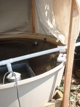 P9250202 (640x480) (360x480) (300x400) (281x375).jpg