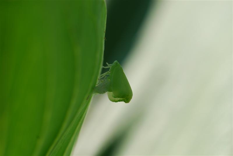 221208 426 (Custom).jpg