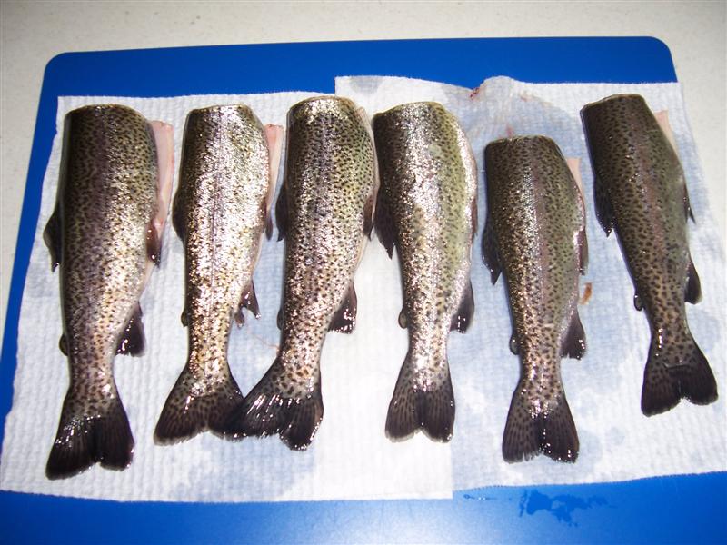 Picture 001 (Medium).jpg