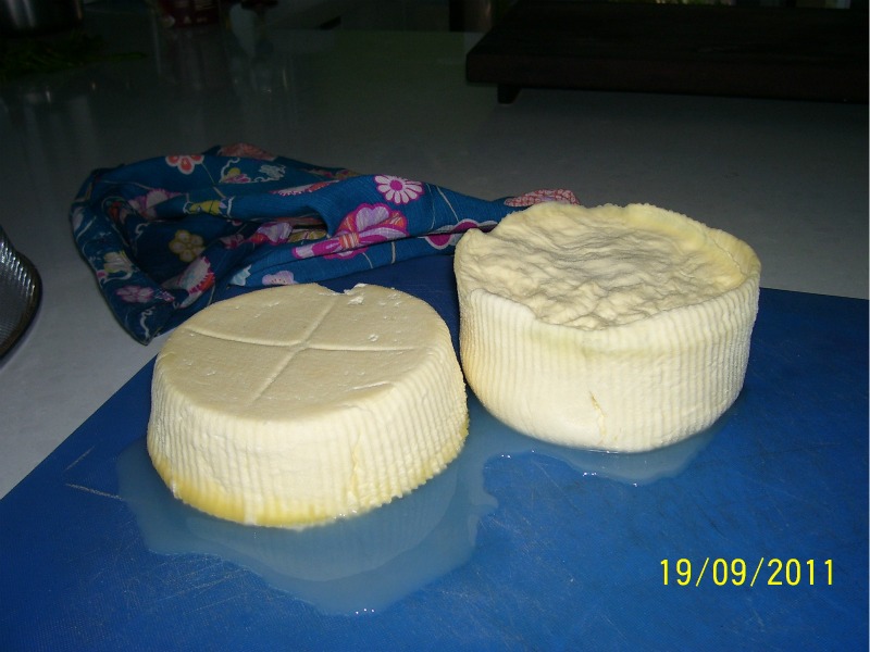 First-Cheese-1st-Oct-2011.jpg