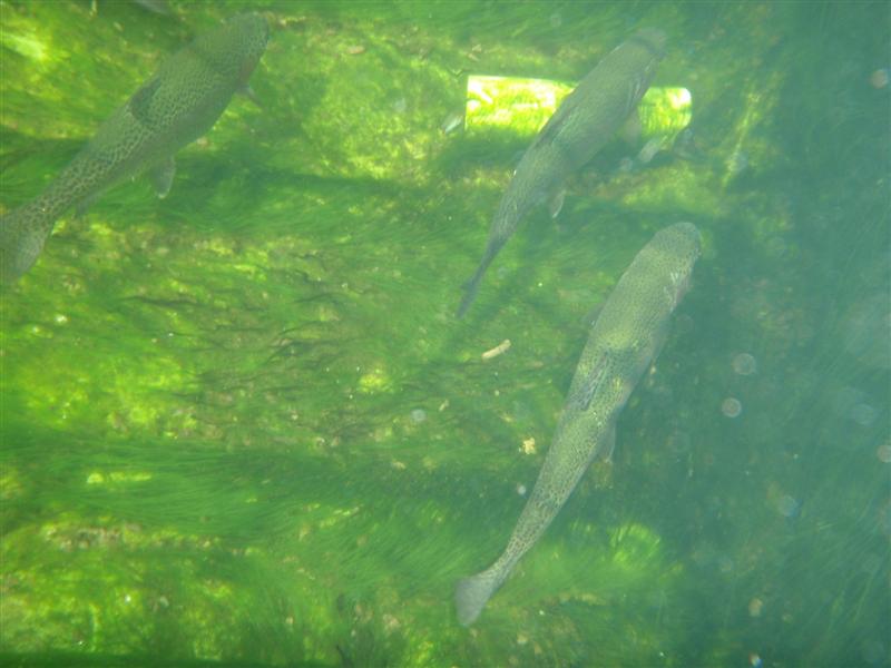 PA040367 (Medium).JPG