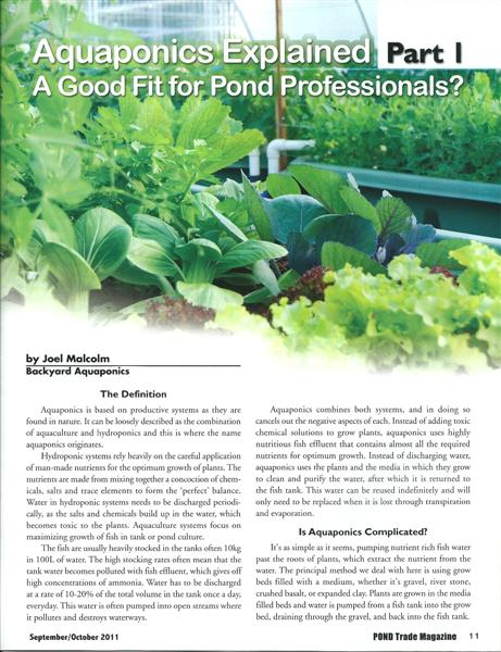 scan0004 (Medium).jpg