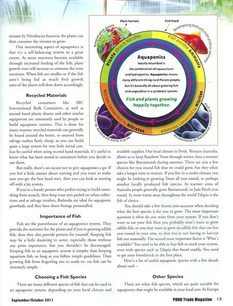 scan0006 (Medium).jpg