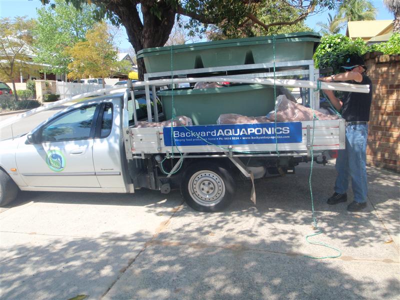 PA060603 (Custom).JPG