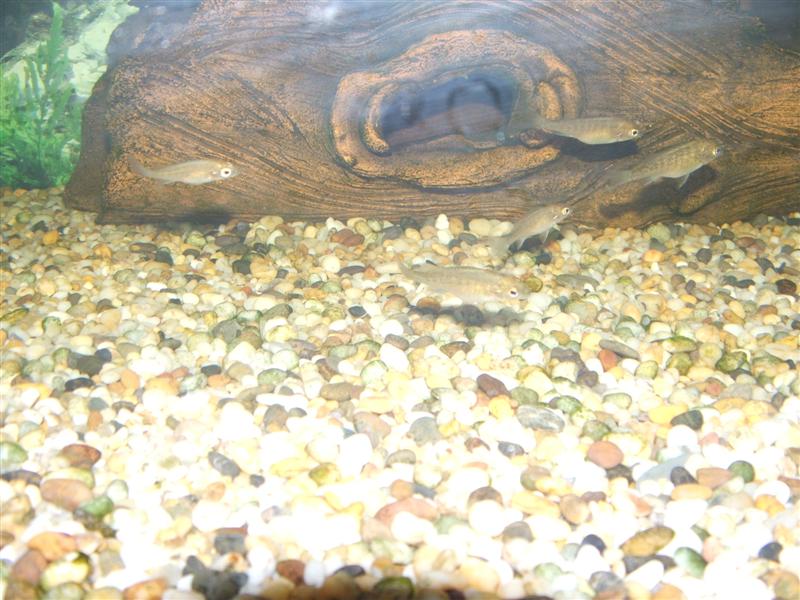 DSCF2189 (Medium).JPG