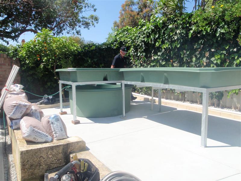 PA060608 (Custom).JPG