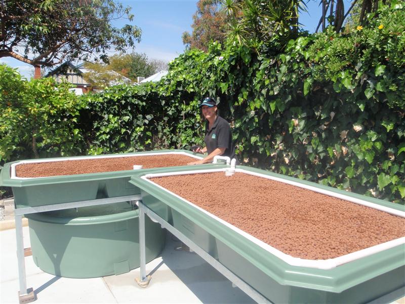 PA060617 (Custom).JPG