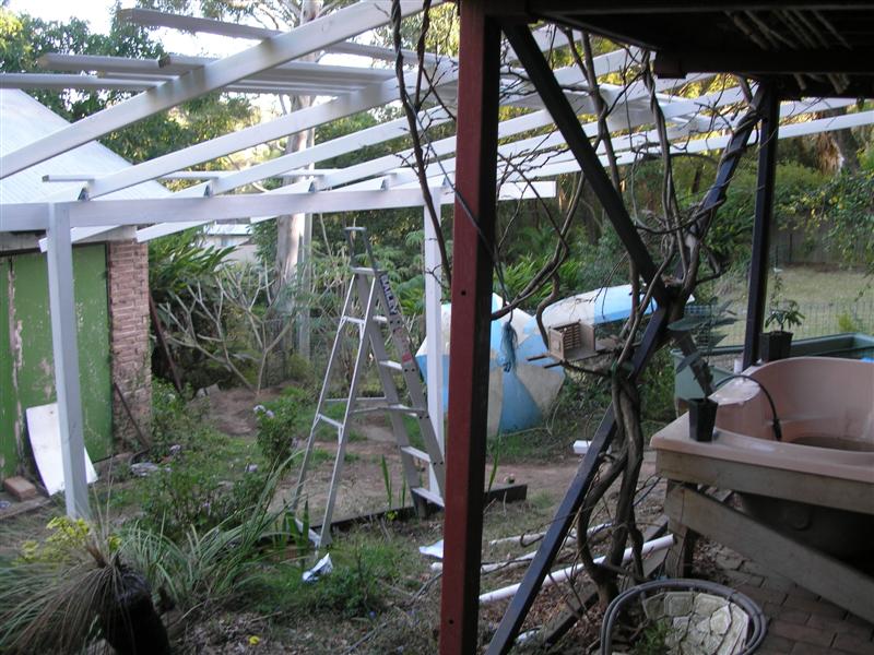 P8080017 (Medium).JPG