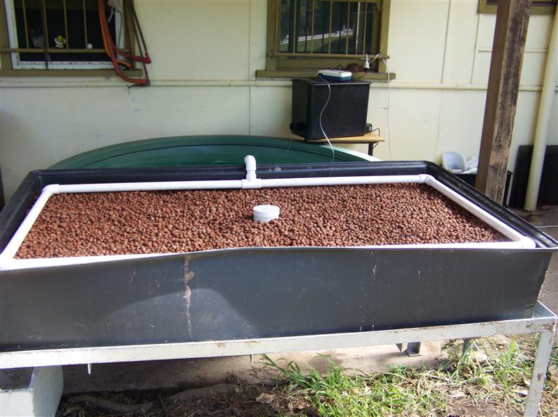 100_6502 (Custom).JPG