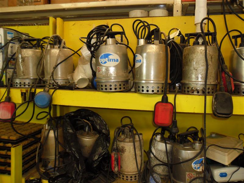 SAM_0693 (Medium).JPG