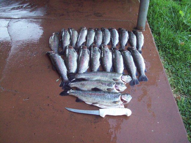 Harvest 16 10 2011 002.jpg