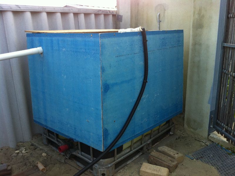 IMG_0216 (800x598).jpg