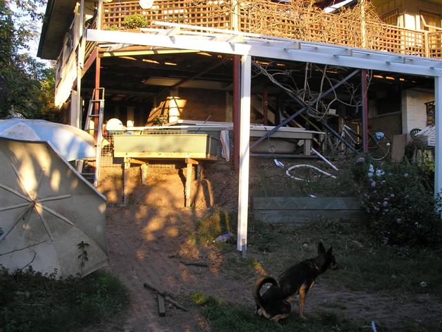 P8130017 (Small).JPG