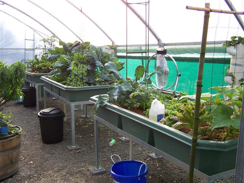 100_6590 (Custom).JPG