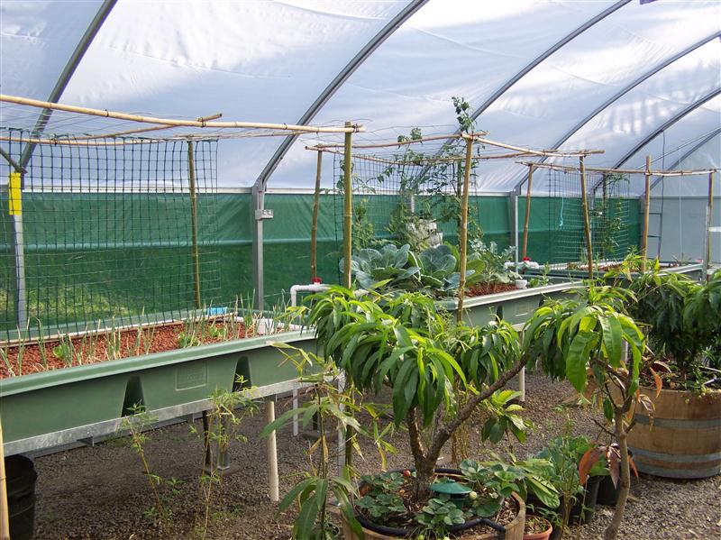 100_6592 (Custom).JPG