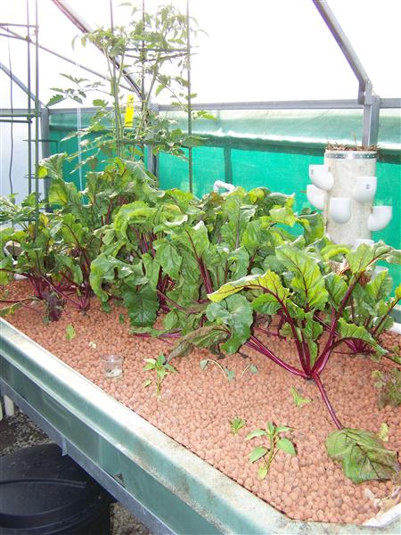 100_6596 (Custom).JPG