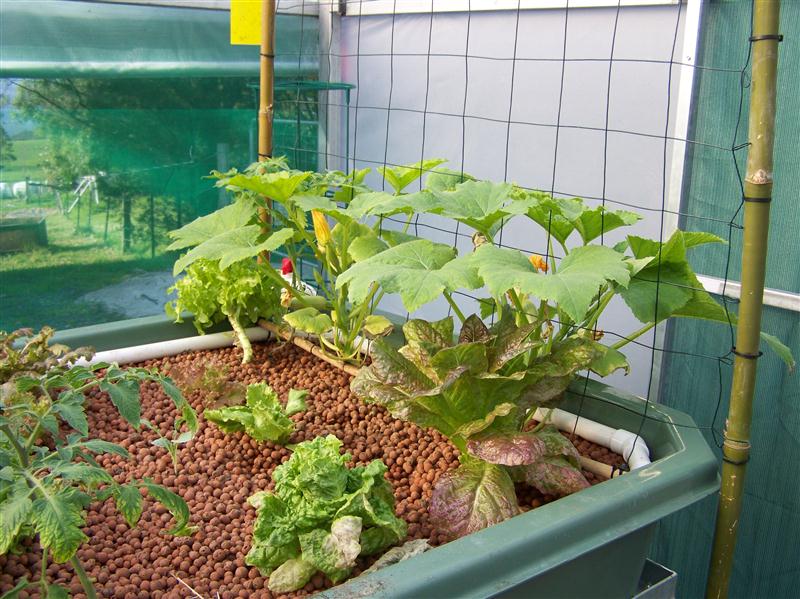 100_6600 (Custom).JPG