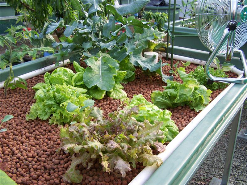 100_6601 (Custom).JPG