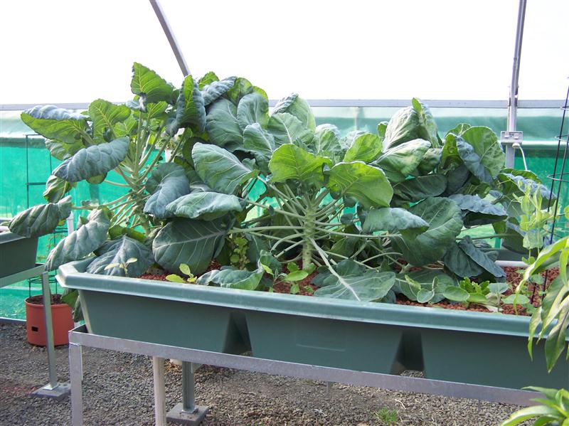 100_6599 (Custom).JPG