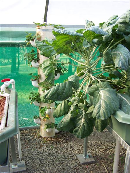 100_6597 (Custom).JPG