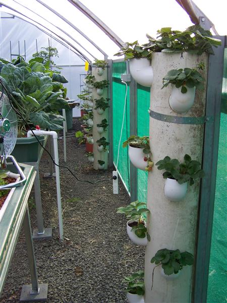 100_6602 (Custom).JPG