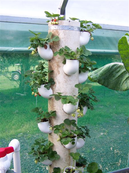 100_6608 (Custom).JPG