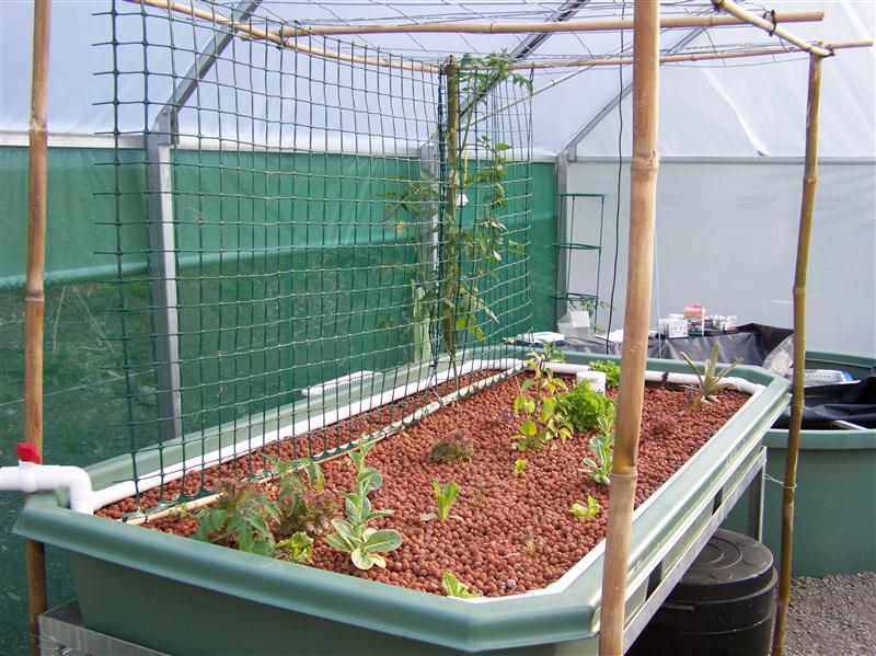 100_6605 (Custom).JPG