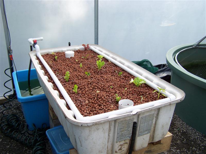 100_6607 (Custom).JPG