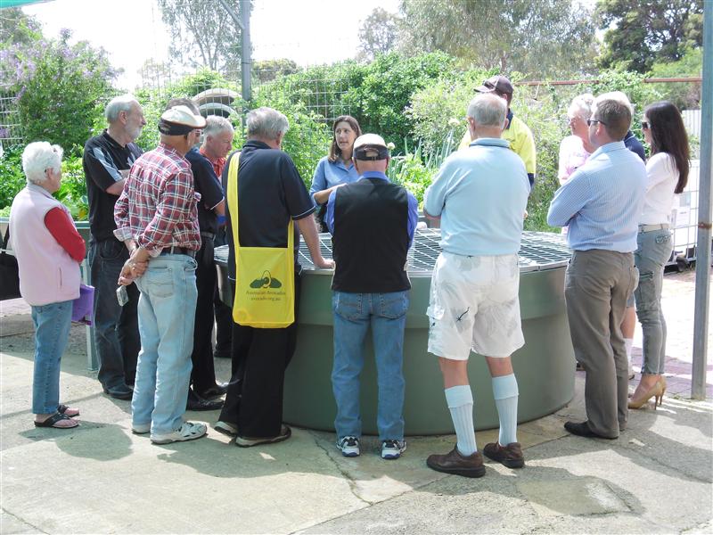 SAM_0915 (Custom).JPG