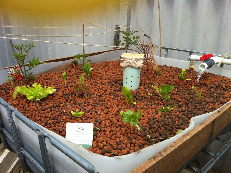 0221small (800x598).jpg