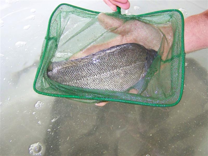 100_6615 (Custom).JPG