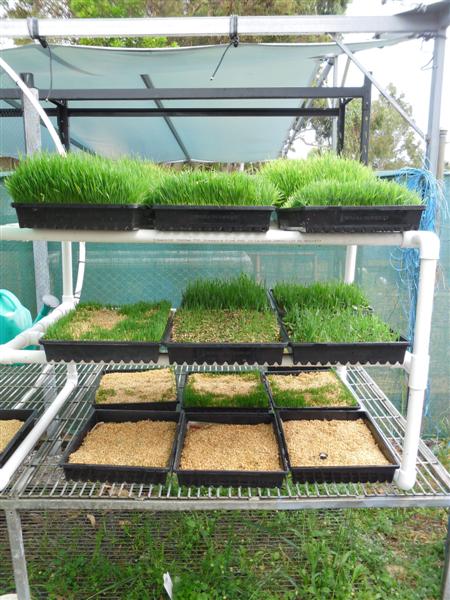 SAM_0923 (Medium).JPG