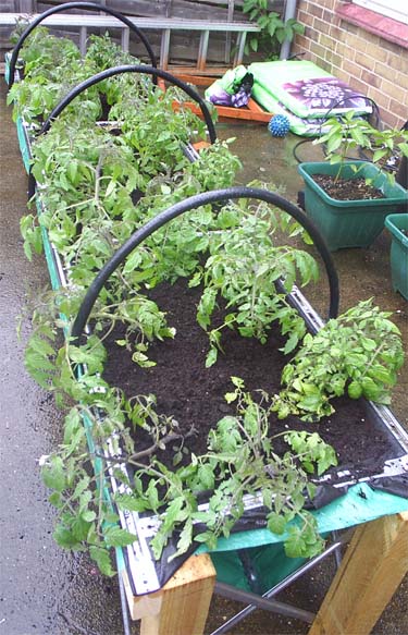 trough bed filled.jpg