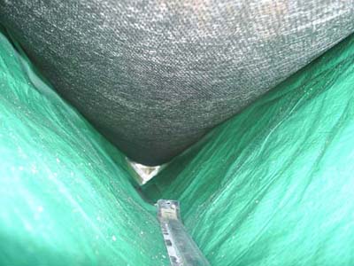 inside the trough.jpg