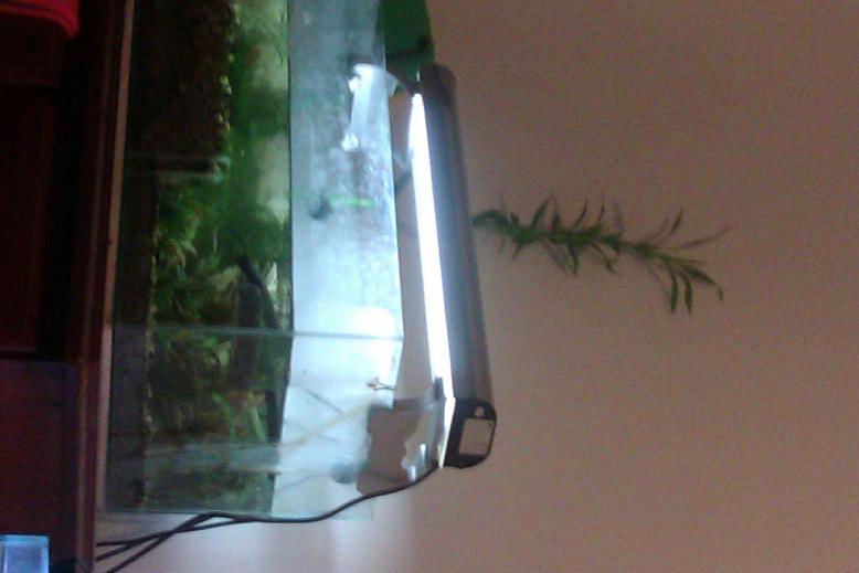 old filter now used as spare tank 1.JPG