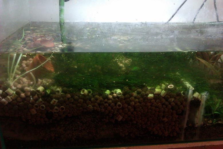 old filter now used as spare tank.JPG