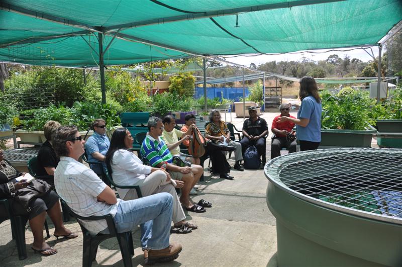 DSC_0331 (Medium).JPG