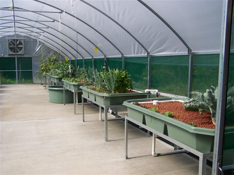 100_6650 (Custom).JPG