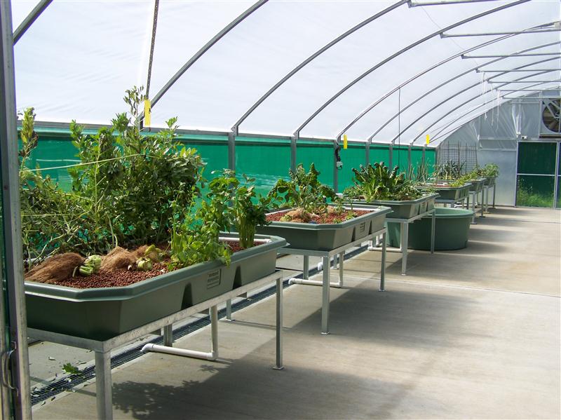 100_6651 (Custom).JPG