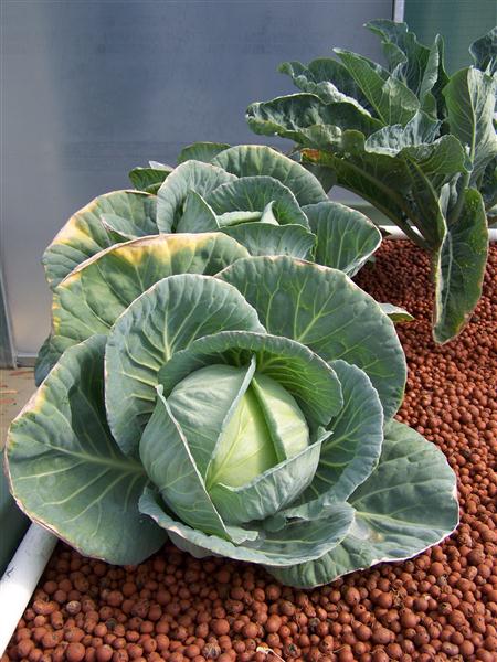 100_6637 (Custom).JPG