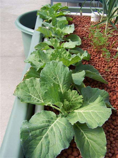 100_6640 (Custom).JPG