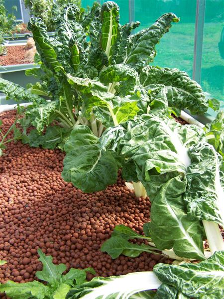 100_6641 (Custom).JPG