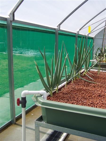 100_6642 (Custom).JPG