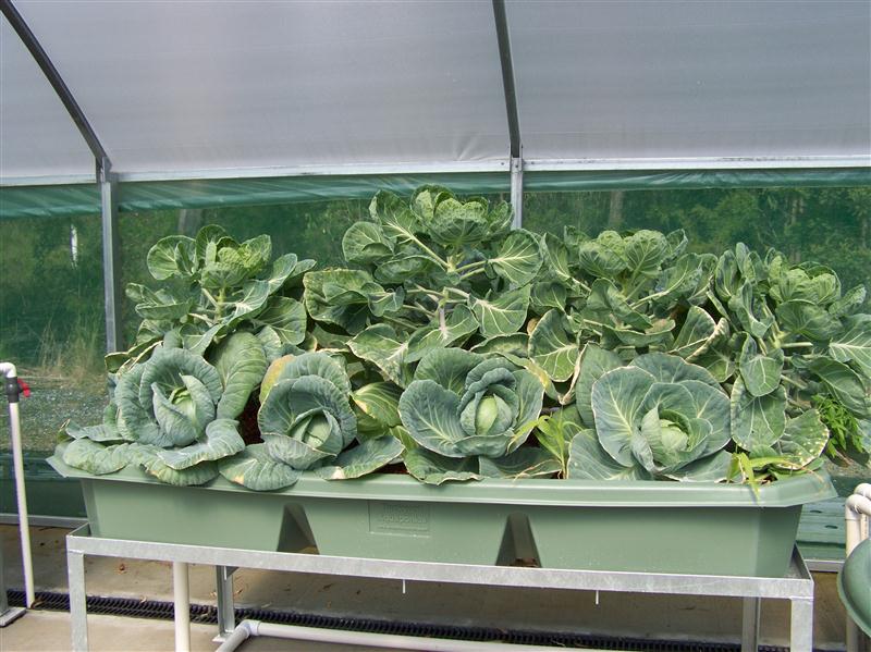 100_6643 (Custom).JPG