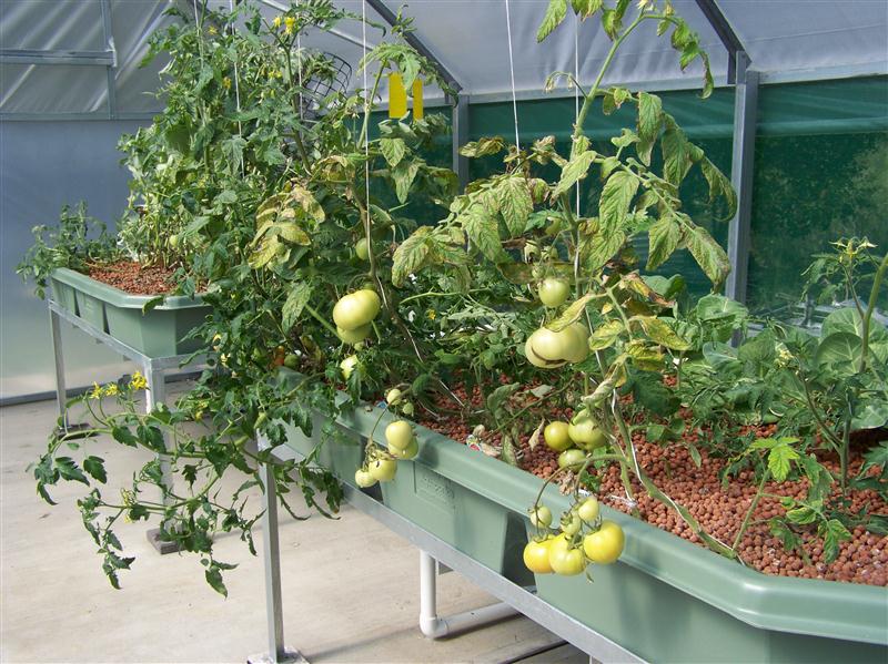 100_6646 (Custom).JPG