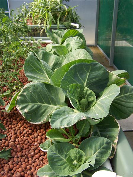 100_6647 (Custom).JPG