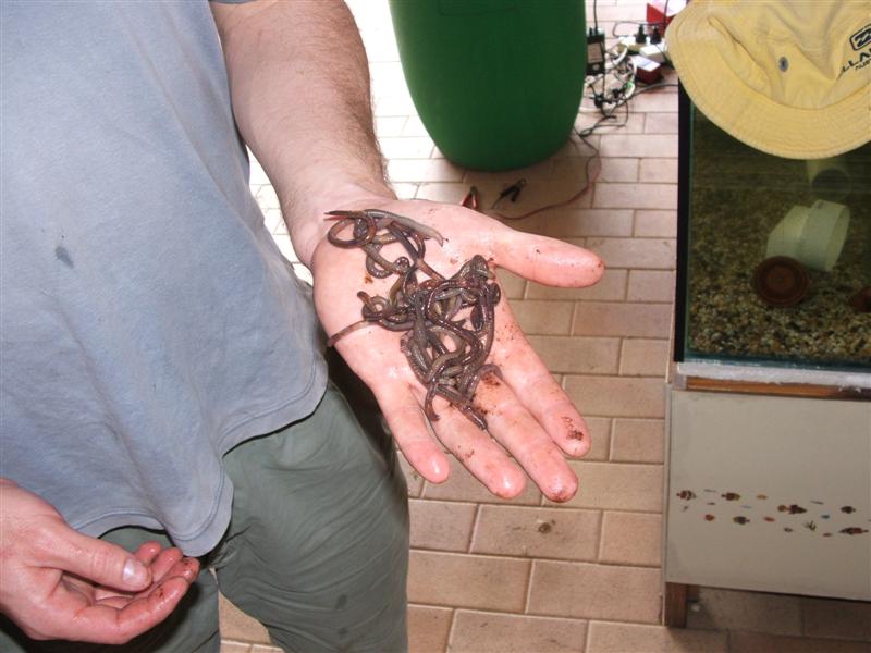 DSCF2435 (Medium).JPG