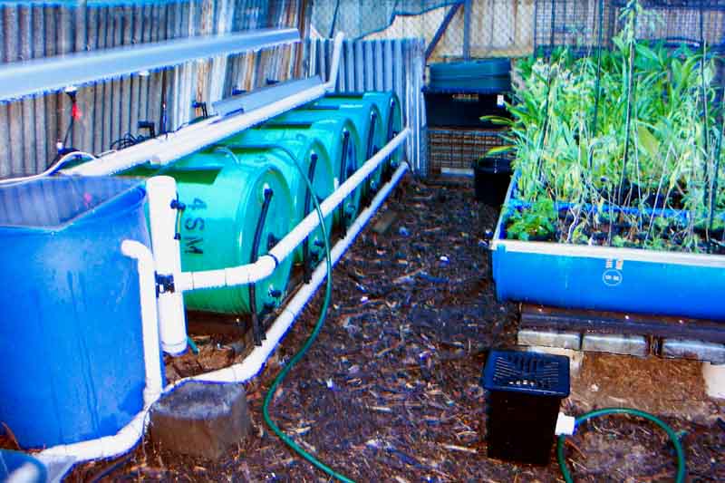 APpicks 026-r copy.jpg